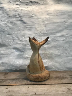 Small Star Gazing Fox