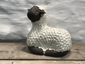 Sheep Ewe Lying
