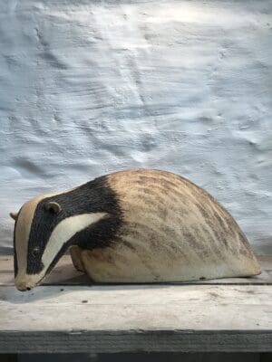 Badger Medium