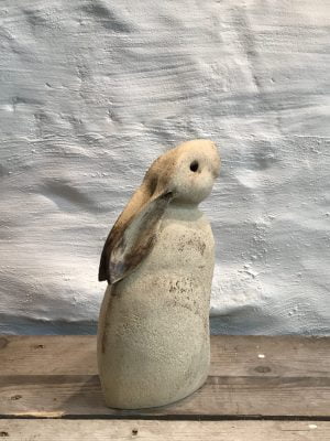 Hare Moongazer Medium