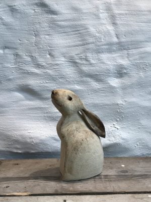 Hare Moongazer Small