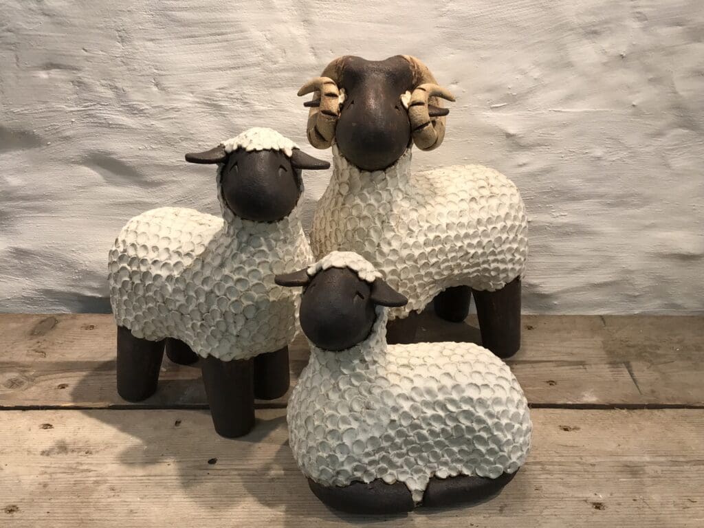 Sheep