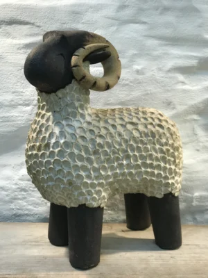 Sheep Ram Standing